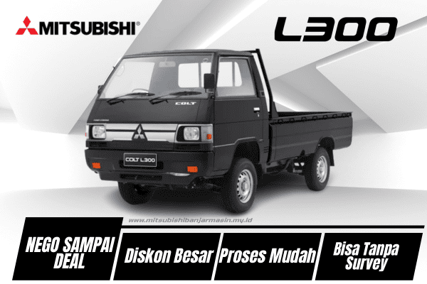 L300